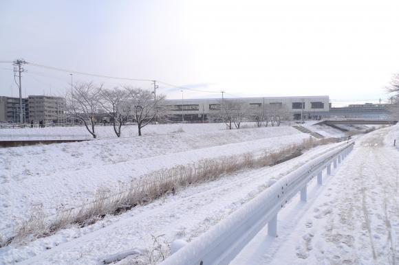 雪の朝/富沢
