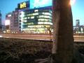 仙台駅から見た夕暮れの中のビルと若木