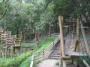 森林公園のアスレチック