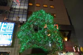 国分町ツリー