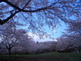 長命館公園