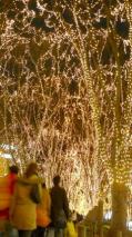 SENDAI 光のページェント 2012
