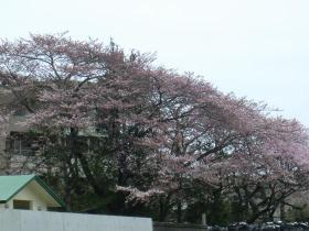 広瀬川