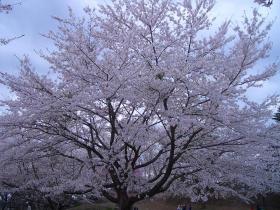 長命館公園