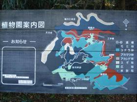 東北大植物園