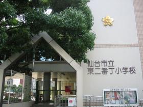 東二番丁小学校の楠