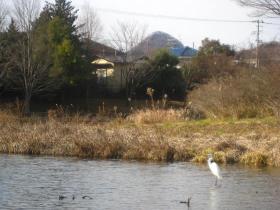 天沼公園