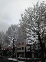 雪化粧