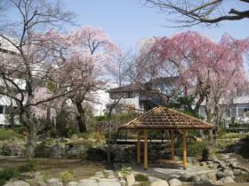 中島丁公園