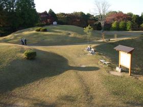 秋の県民の森