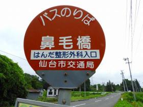鼻毛橋