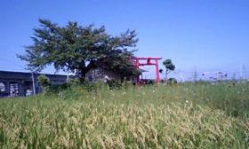 羽山神社