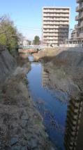 大野田/旧笊川