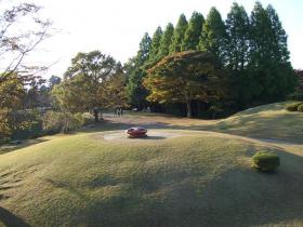 秋の県民の森
