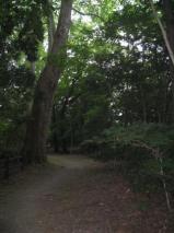 三太郎の小径