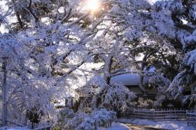 雪の松島