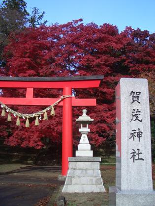 賀茂神社