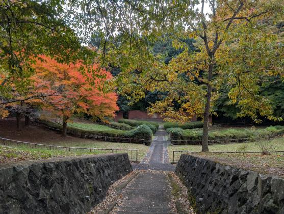 台原森林公園　野外音楽堂