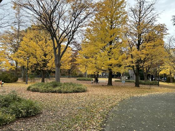 西公園の秋