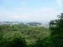 野草園からの風景