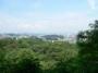 野草園からの風景