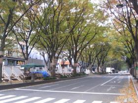 秋の定禅寺