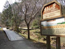 台原森林公園