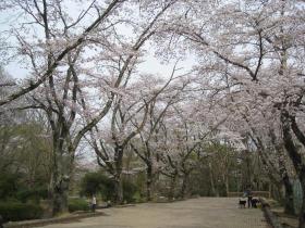 桜／追廻地区