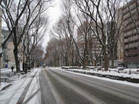 雪の定禅寺