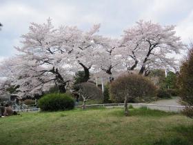 東北大学片平キャンパス　２