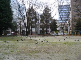 肴町公園