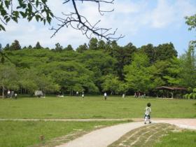 緑の三神峯公園