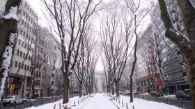 雪の朝/定禅寺通り